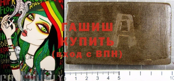 гашик Новозыбков