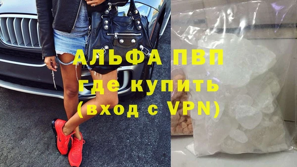 индика Ельня