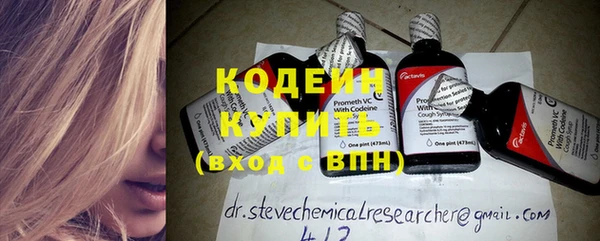 индика Ельня