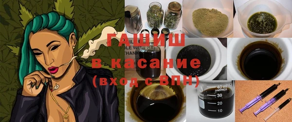 индика Ельня