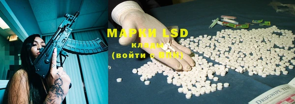 индика Ельня