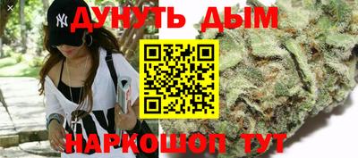 гашик Кимры