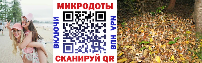 продажа наркотиков Сегежа нарко площадка официальный сайт Галлюциногенные грибы Psilocybine cubensis